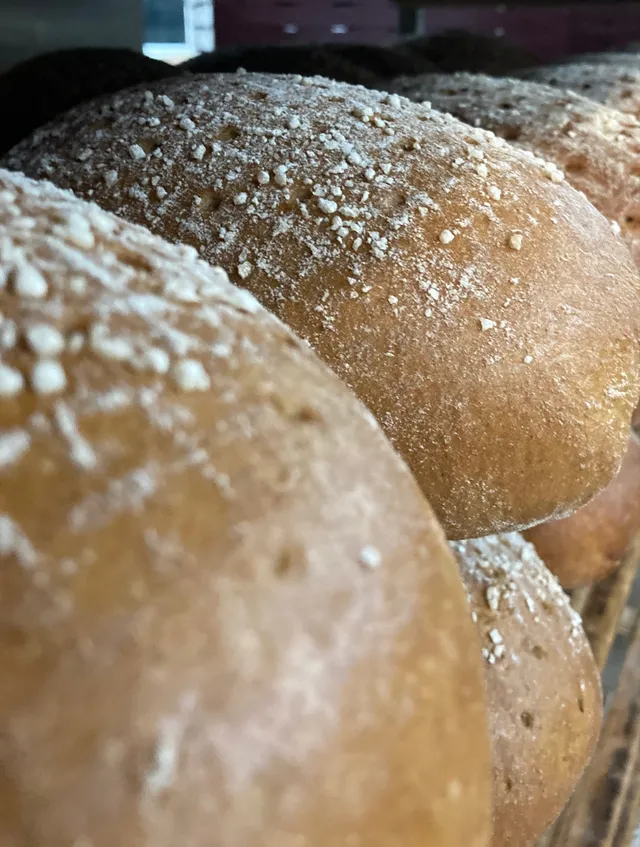 Nahaufnahme von Brotlaiben mit Körnerkruste im Regal