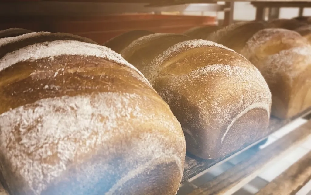 Dinkelstuten mit Mehlkruste in der Verkaufstheke